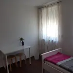 Gaestehaus Ditz Homestay szállás *