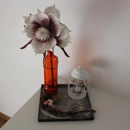 Gaestehaus Ditz Quarto em Acomodações Particulares *